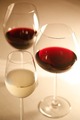 毎月違うテーマに沿って、厳選のワイン6種類をご用意！