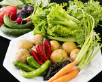 埼玉県「風の丘ファーム」オーガニック冬野菜の食べ比べ体験！