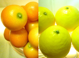 フルーツの試食：宮崎県産「金柑」、宮崎県産「日向夏」