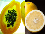 フルーツの試食：宮崎県産パパイア、和歌山県産グレープフルーツ