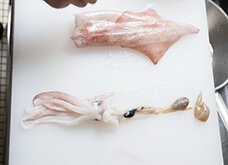 わたを破らないように気をつけながら、ゆっくりと足とわたを胴から引き抜く。