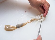 目の上にある、細長く白くコリコリした部分は美味しいので、捨てずに食べましょう。