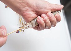 えびの背中の殻に沿って、できるだけ身を傷つけないよう、まっすぐに、頭部まで刺す。