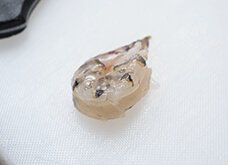 えび むき身