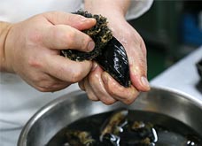 貝の表面の汚れを、鍋底用タワシ等でこすり、付着物をきれいに掃除する。